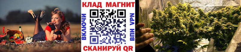 Как найти закладки Новотроицк Псилоцибиновые грибы  ГАШ  Канабис  Вейп ТГК  КОКАИН 
