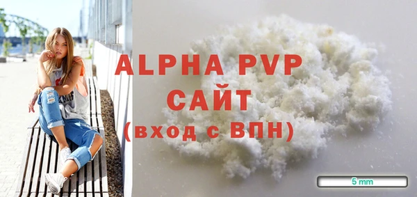 дживик Бородино