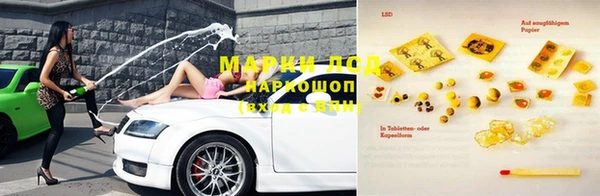 дживик Бородино