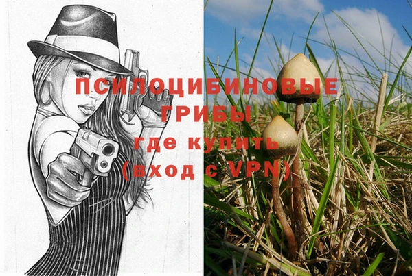 mdpv Бугульма