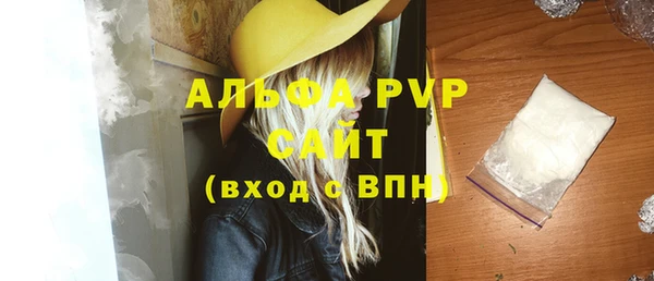 прущие грибы Бронницы