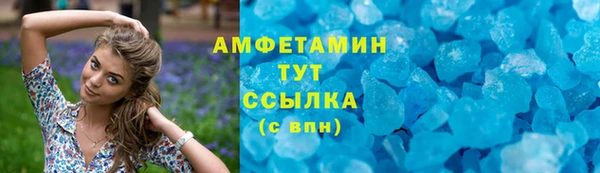 прущие грибы Бронницы
