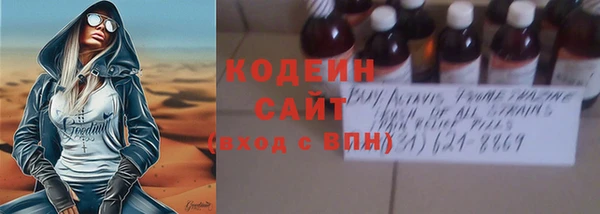 дживик Бородино