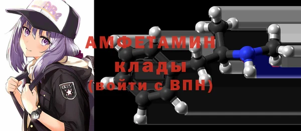 дживик Бородино