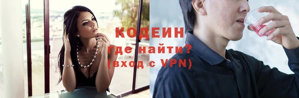 дживик Бородино