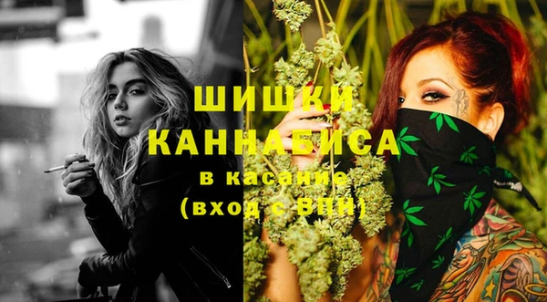 дживик Бородино