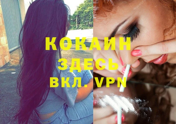 дживик Бородино