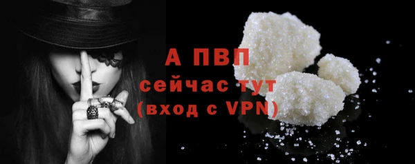 прущие грибы Бронницы