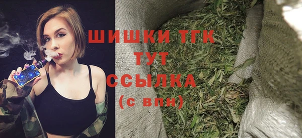 дживик Бородино