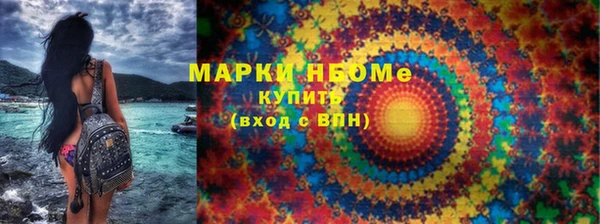 дживик Бородино