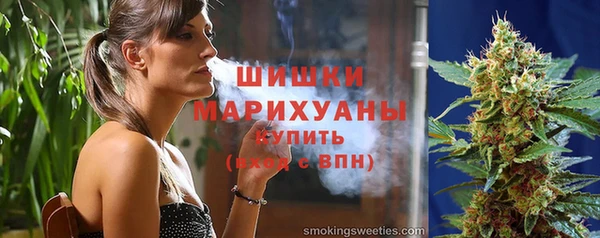 дживик Бородино
