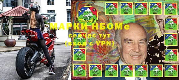 прущие грибы Бронницы