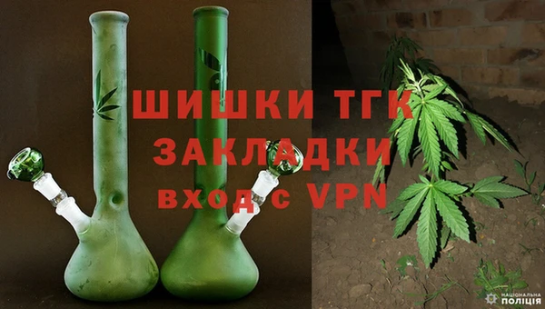 прущие грибы Бронницы