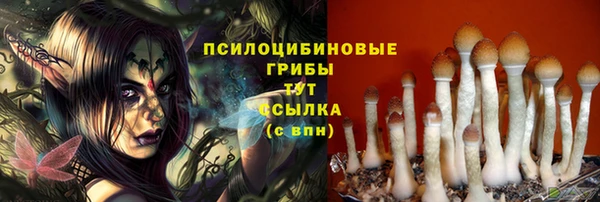 прущие грибы Бронницы