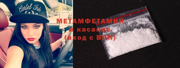 прущие грибы Бронницы