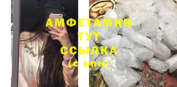 прущие грибы Бронницы