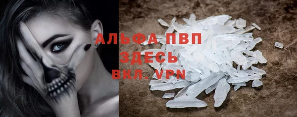 дживик Бородино